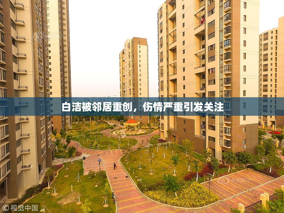 白洁被邻居重创，伤情严重引发关注