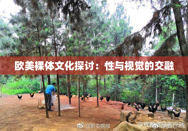 欧美裸体文化探讨：性与视觉的交融