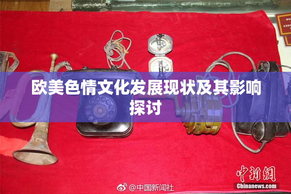 欧美色情文化发展现状及其影响探讨