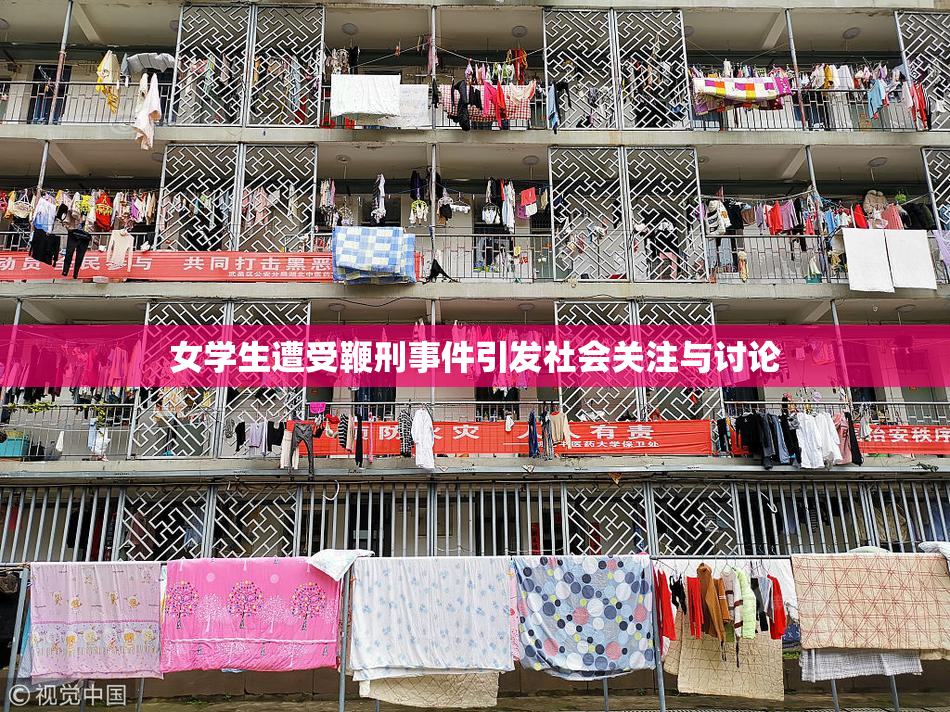 女学生遭受鞭刑事件引发社会关注与讨论
