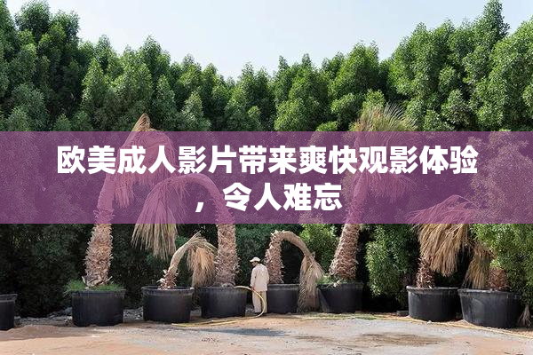 欧美成人影片带来爽快观影体验，令人难忘