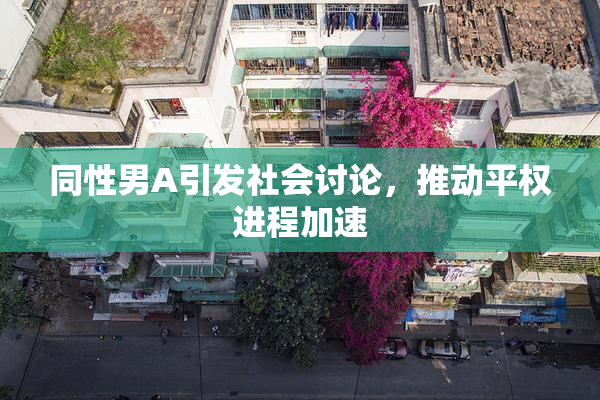 同性男A引发社会讨论，推动平权进程加速