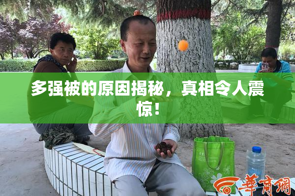 多强被的原因揭秘，真相令人震惊！
