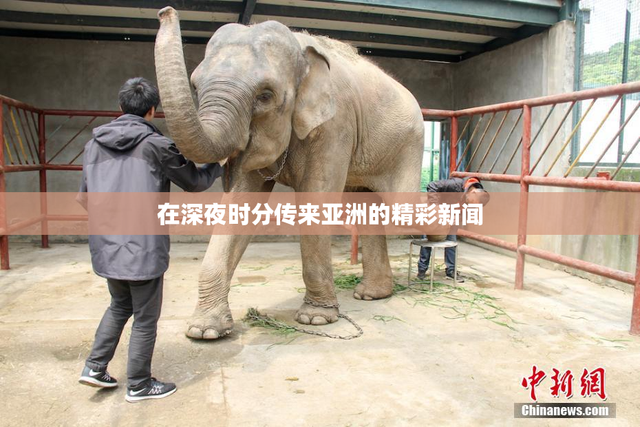 在深夜时分传来亚洲的精彩新闻