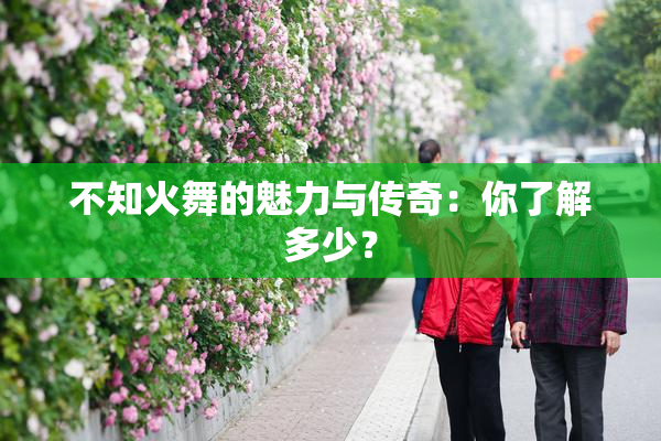 不知火舞的魅力与传奇：你了解多少？