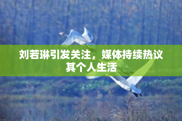 刘若琳引发关注，媒体持续热议其个人生活