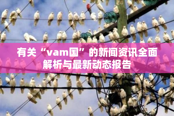 有关“vam国”的新闻资讯全面解析与最新动态报告