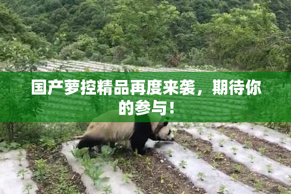 国产萝控精品再度来袭，期待你的参与！
