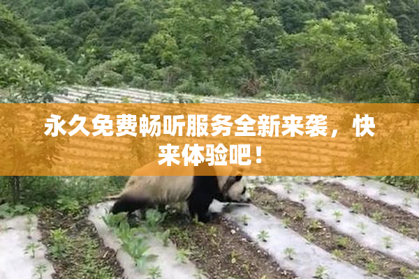 永久免费畅听服务全新来袭，快来体验吧！