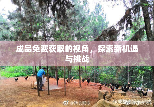 成品免费获取的视角，探索新机遇与挑战