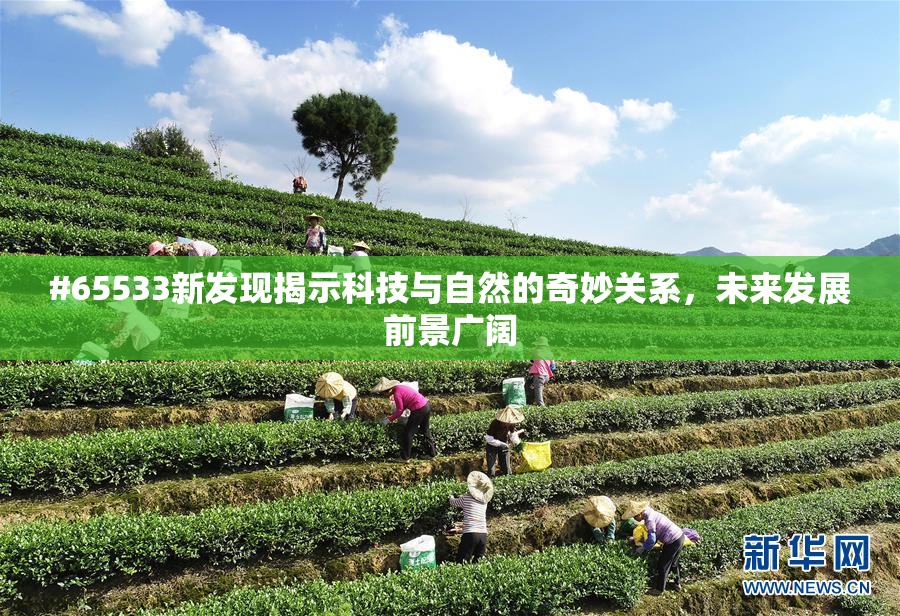 #65533新发现揭示科技与自然的奇妙关系，未来发展前景广阔