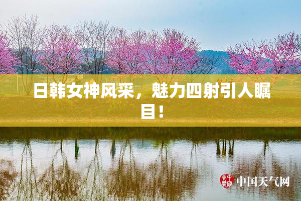 日韩女神风采，魅力四射引人瞩目！