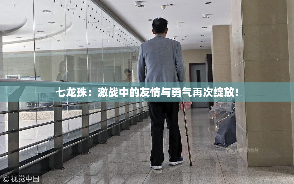 七龙珠：激战中的友情与勇气再次绽放！