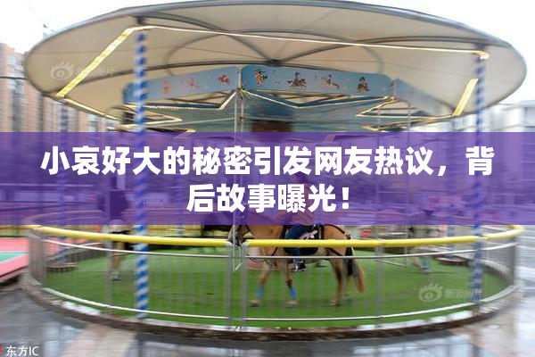 小哀好大的秘密引发网友热议，背后故事曝光！