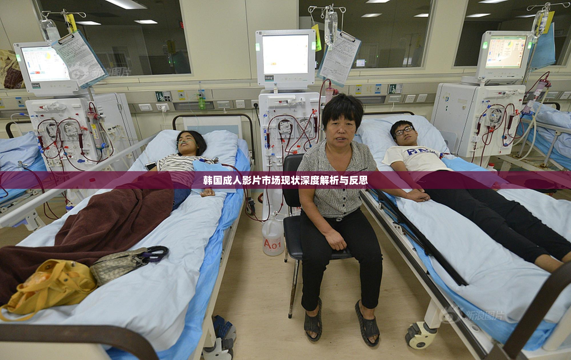 韩国成人影片市场现状深度解析与反思
