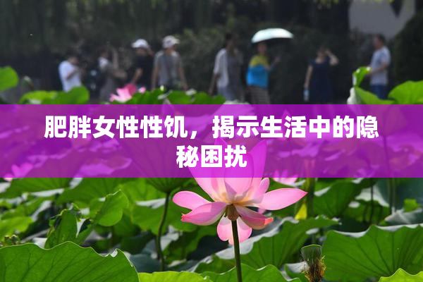 肥胖女性性饥，揭示生活中的隐秘困扰
