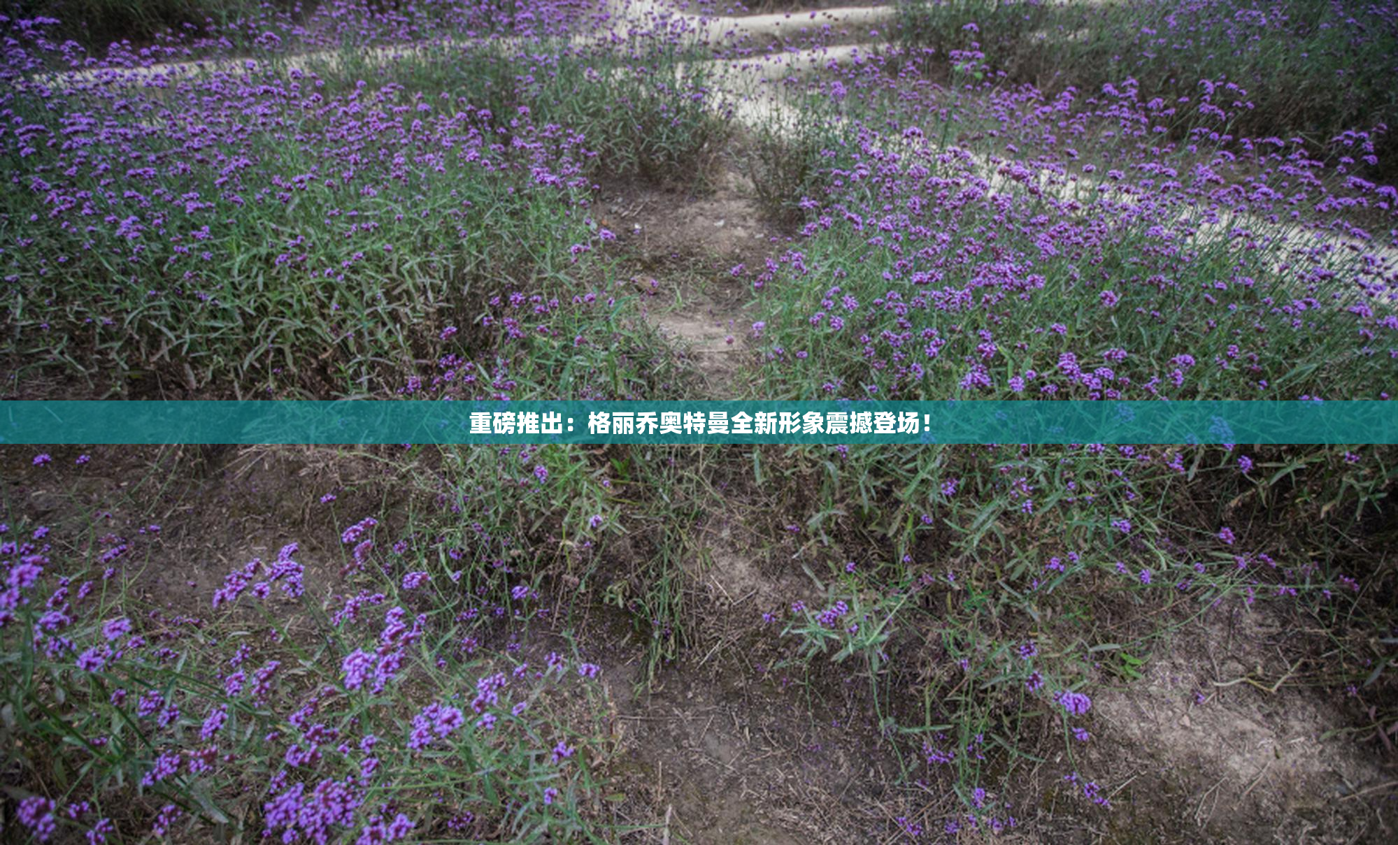重磅推出：格丽乔奥特曼全新形象震撼登场！