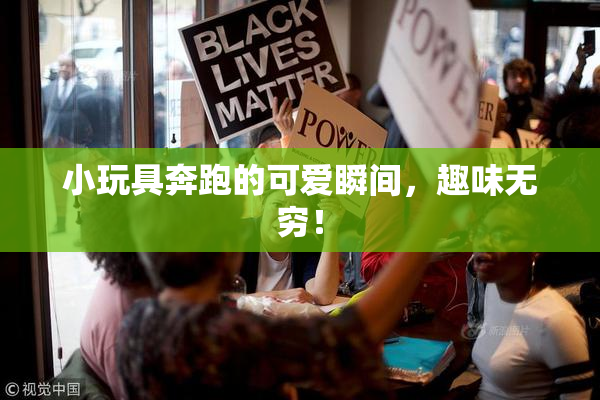 小玩具奔跑的可爱瞬间，趣味无穷！