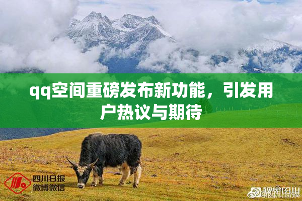 qq空间重磅发布新功能，引发用户热议与期待