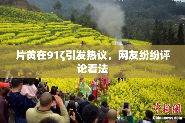 片黄在91ζ引发热议，网友纷纷评论看法