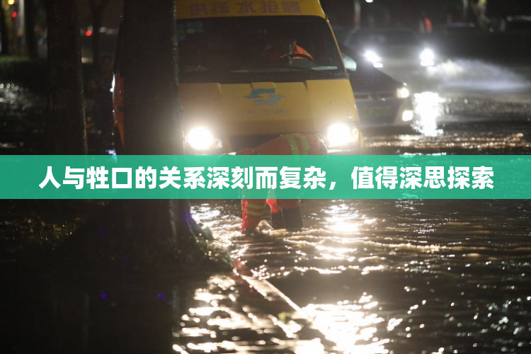人与牲口的关系深刻而复杂，值得深思探索