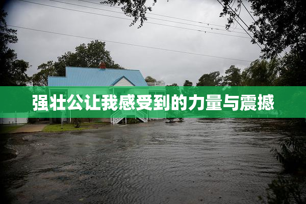 强壮公让我感受到的力量与震撼