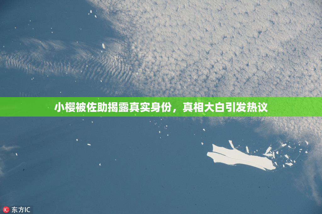 小樱被佐助揭露真实身份，真相大白引发热议