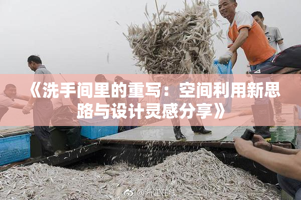 《洗手间里的重写：空间利用新思路与设计灵感分享》