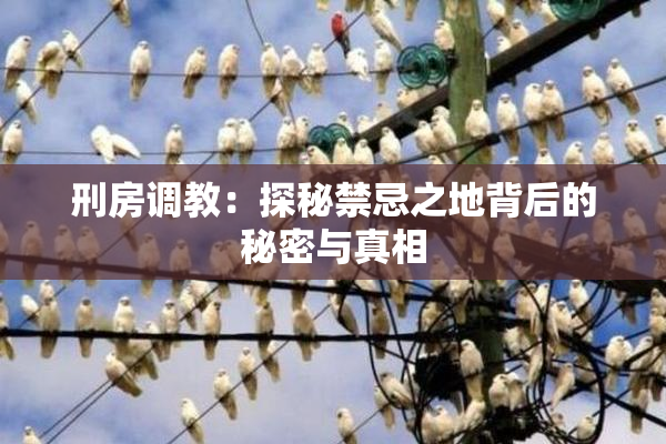 刑房调教：探秘禁忌之地背后的秘密与真相
