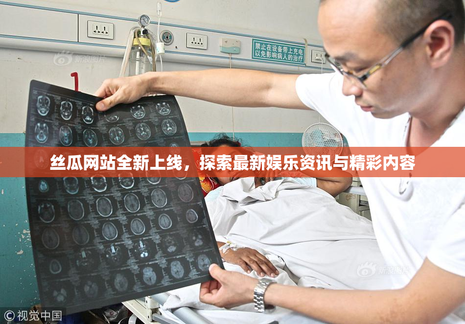 丝瓜网站全新上线，探索最新娱乐资讯与精彩内容