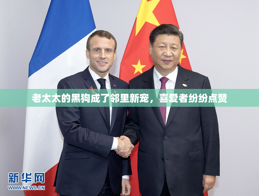 老太太的黑狗成了邻里新宠，喜爱者纷纷点赞