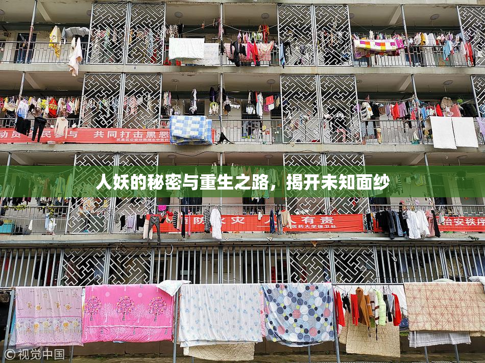 人妖的秘密与重生之路，揭开未知面纱