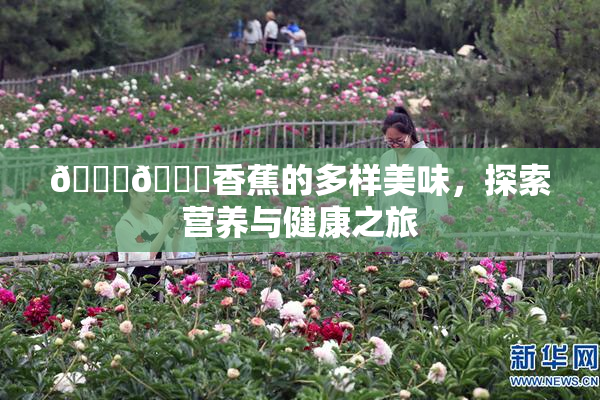 🔞🔞香蕉的多样美味，探索营养与健康之旅
