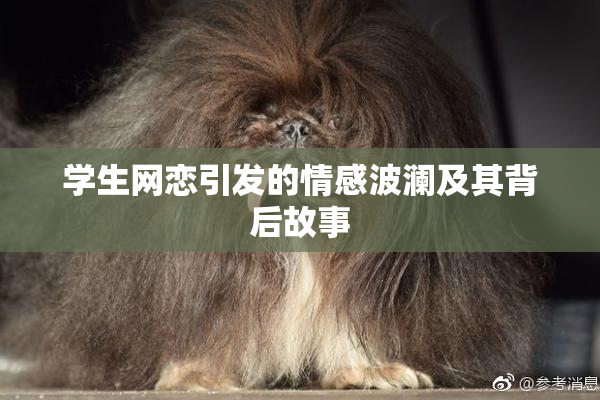 学生网恋引发的情感波澜及其背后故事