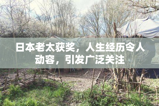 日本老太获奖，人生经历令人动容，引发广泛关注
