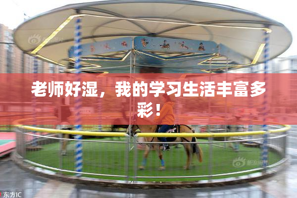 老师好湿，我的学习生活丰富多彩！