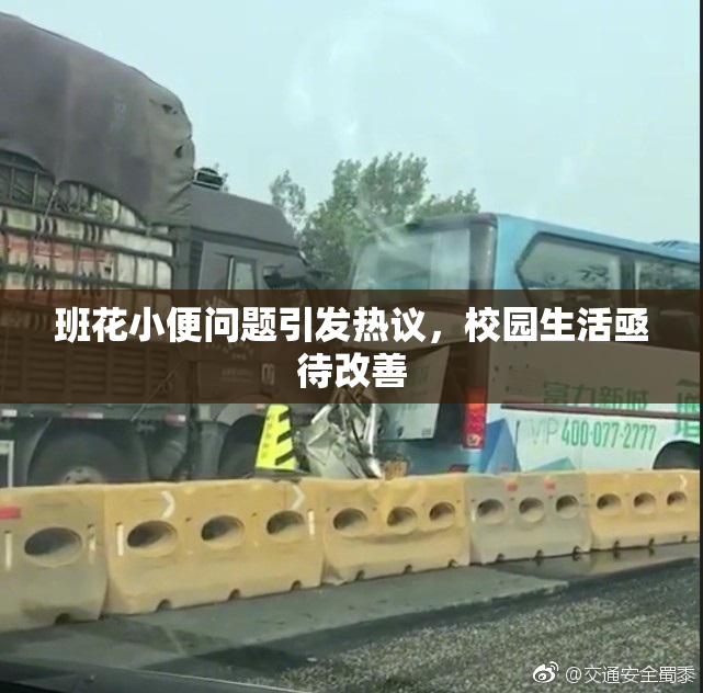 班花小便问题引发热议，校园生活亟待改善