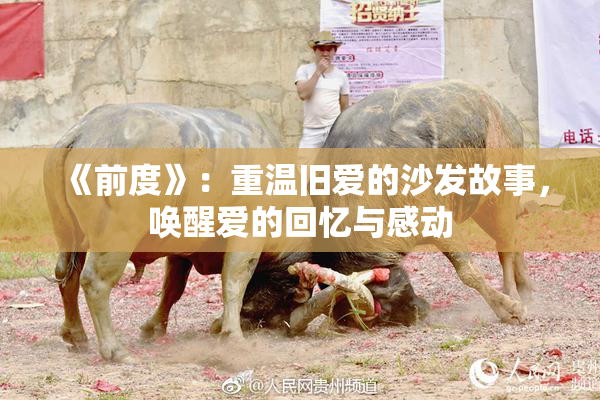 《前度》：重温旧爱的沙发故事，唤醒爱的回忆与感动