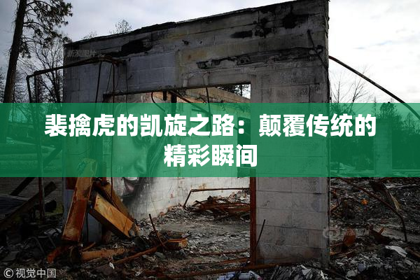 裴擒虎的凯旋之路：颠覆传统的精彩瞬间