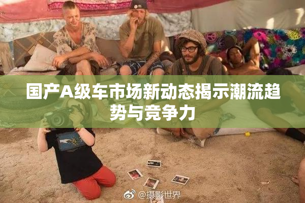 国产A级车市场新动态揭示潮流趋势与竞争力