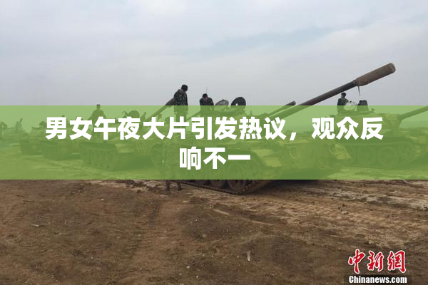男女午夜大片引发热议，观众反响不一