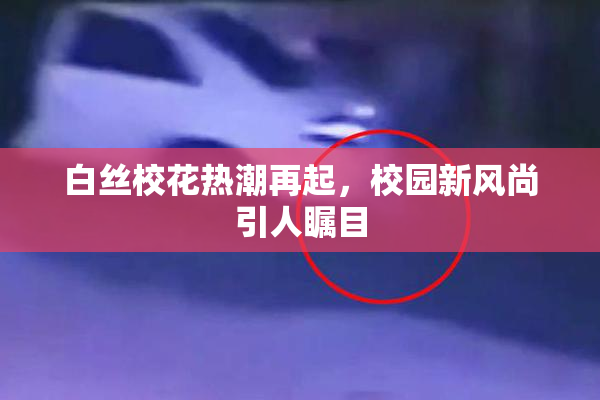 白丝校花热潮再起，校园新风尚引人瞩目