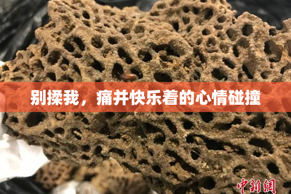 别揉我，痛并快乐着的心情碰撞