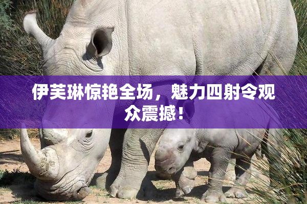 伊芙琳惊艳全场，魅力四射令观众震撼！