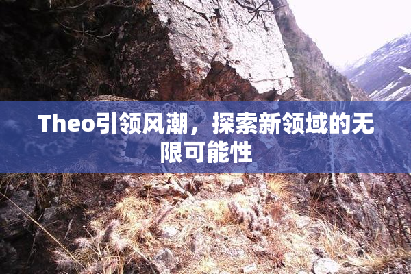 Theo引领风潮，探索新领域的无限可能性
