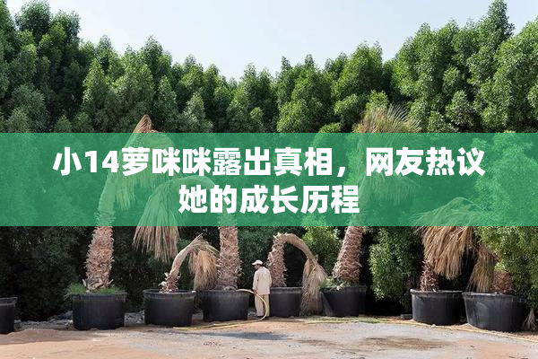 小14萝咪咪露出真相，网友热议她的成长历程