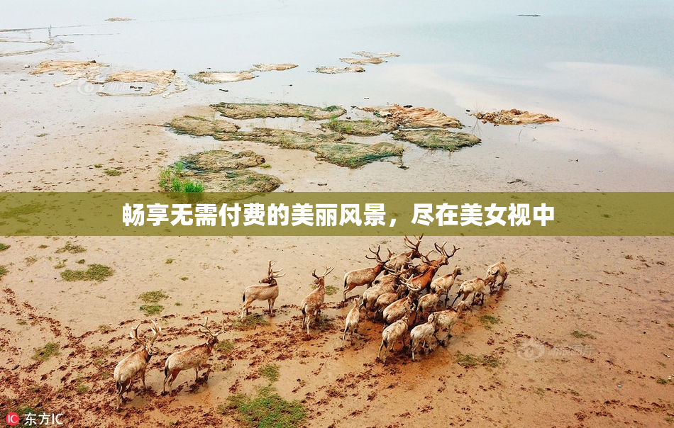畅享无需付费的美丽风景，尽在美女视中