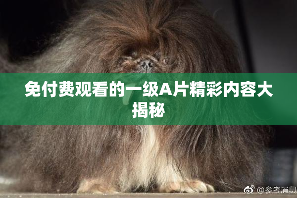 免付费观看的一级A片精彩内容大揭秘