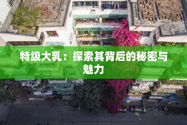 特级大乳：探索其背后的秘密与魅力
