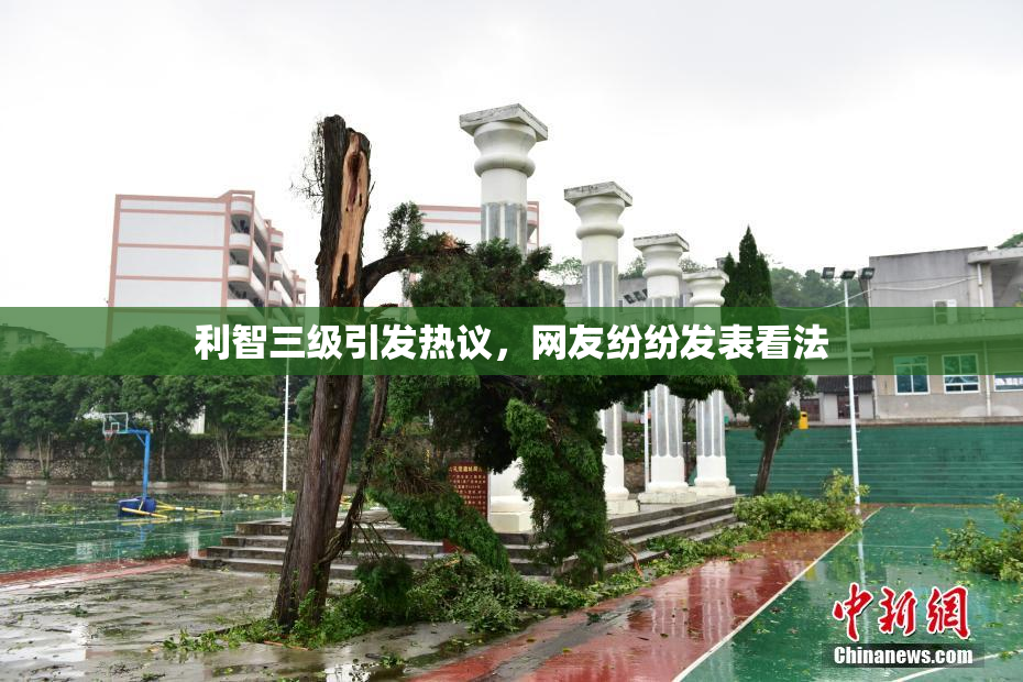 利智三级引发热议，网友纷纷发表看法